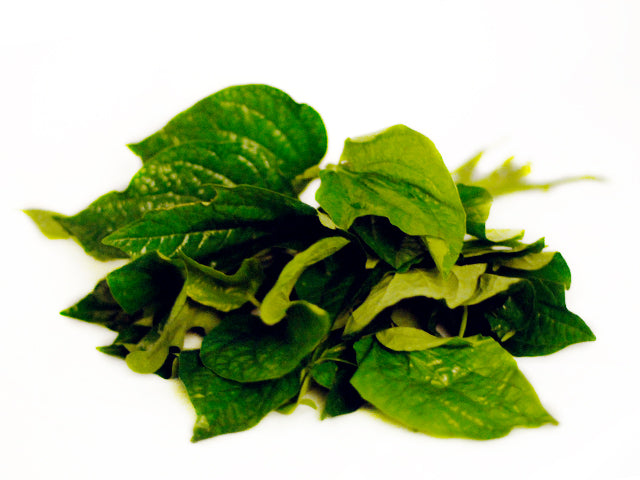 Fresh Cha Plu Leaf 100g KHEGO