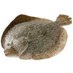 新鲜多宝鱼（每条称重， 每公斤£22.99)