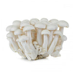 Fresh White Mushroom 150g
