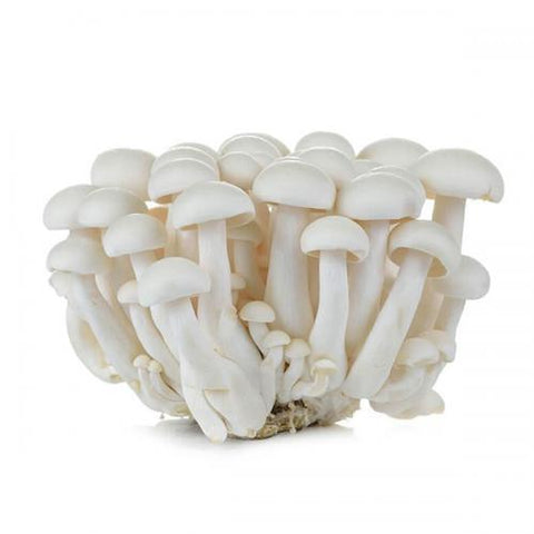 Fresh White Mushroom 150g