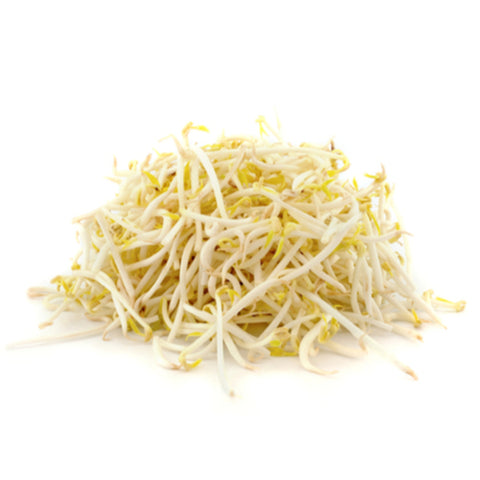 Yellow Beansprout 450g 